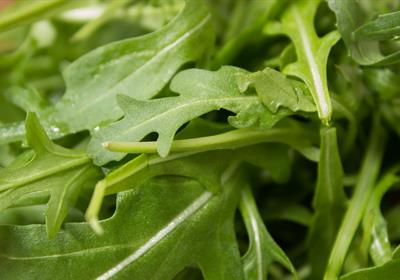 Heerlijk veganistisch eten bij de Vierlinden in Goes